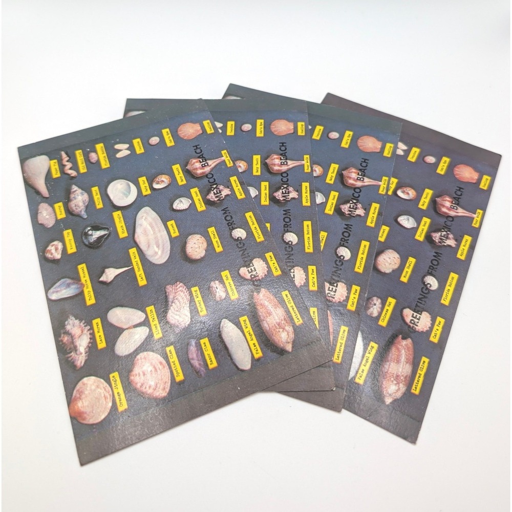 Vintage Mexico Beach Florida Shell Chart Postcards Tichnor Bros Lot of 4